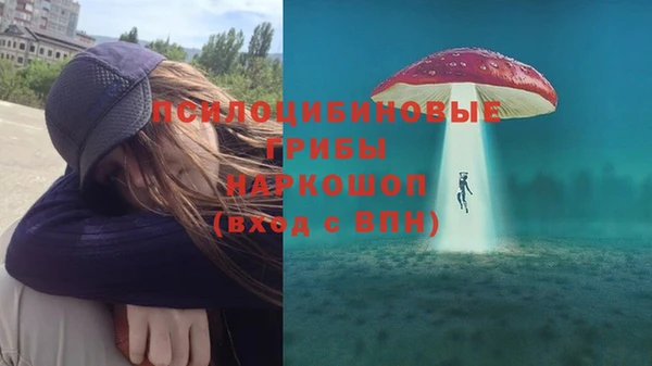 молекула духа Баксан