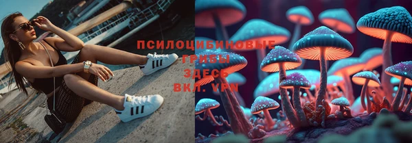 молекула духа Баксан